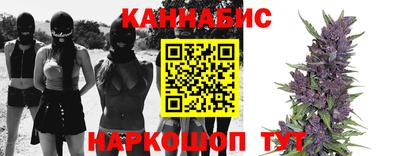 твердый Бийск