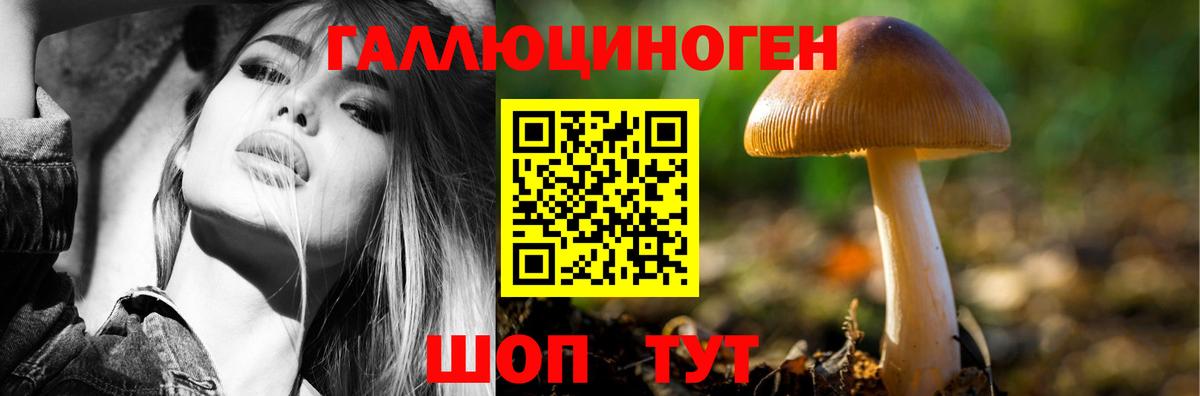 Кириши  Галлюциногенные грибы мухоморы  Псилоцибиновые грибы Magic Shrooms  Вход с VPN 